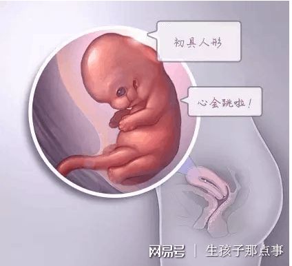 关于靠谱志愿者供卵咨询